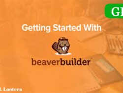 Beaver Builder Professional Wordpress Plugin