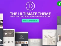 Divi Wordpress Theme Visual Page Builder