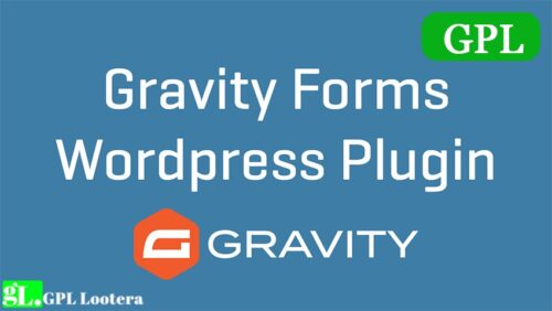 Gravity Forms Wordpress Plugin