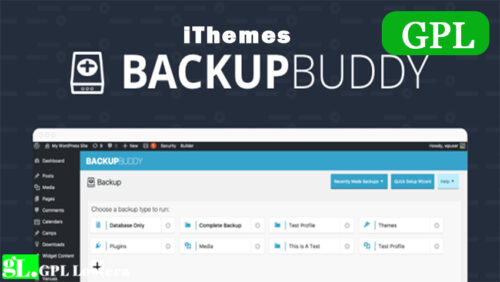 Ithemes Backupbuddy Wordpress Plugin