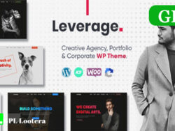Leverage Creative Agency Portfolio Wordpress Theme 2 0 3