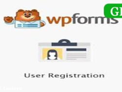 Wpforms User Registration 1 3 2