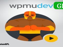 Wpmu Dev Defender Pro